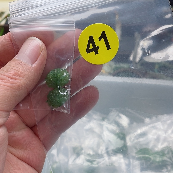 和田玉吊坠未镶嵌兰*草