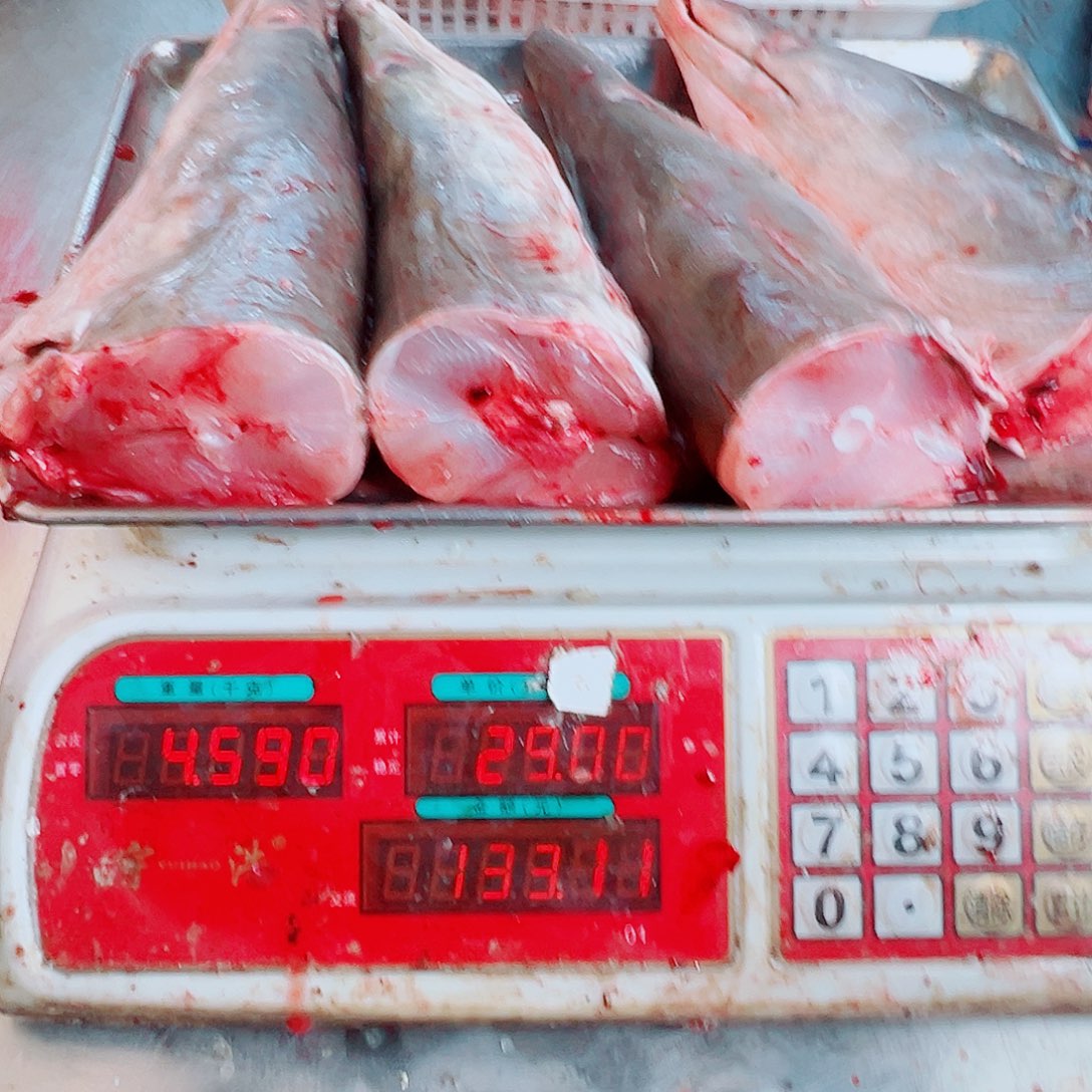 中国大陆四个鳗鱼头