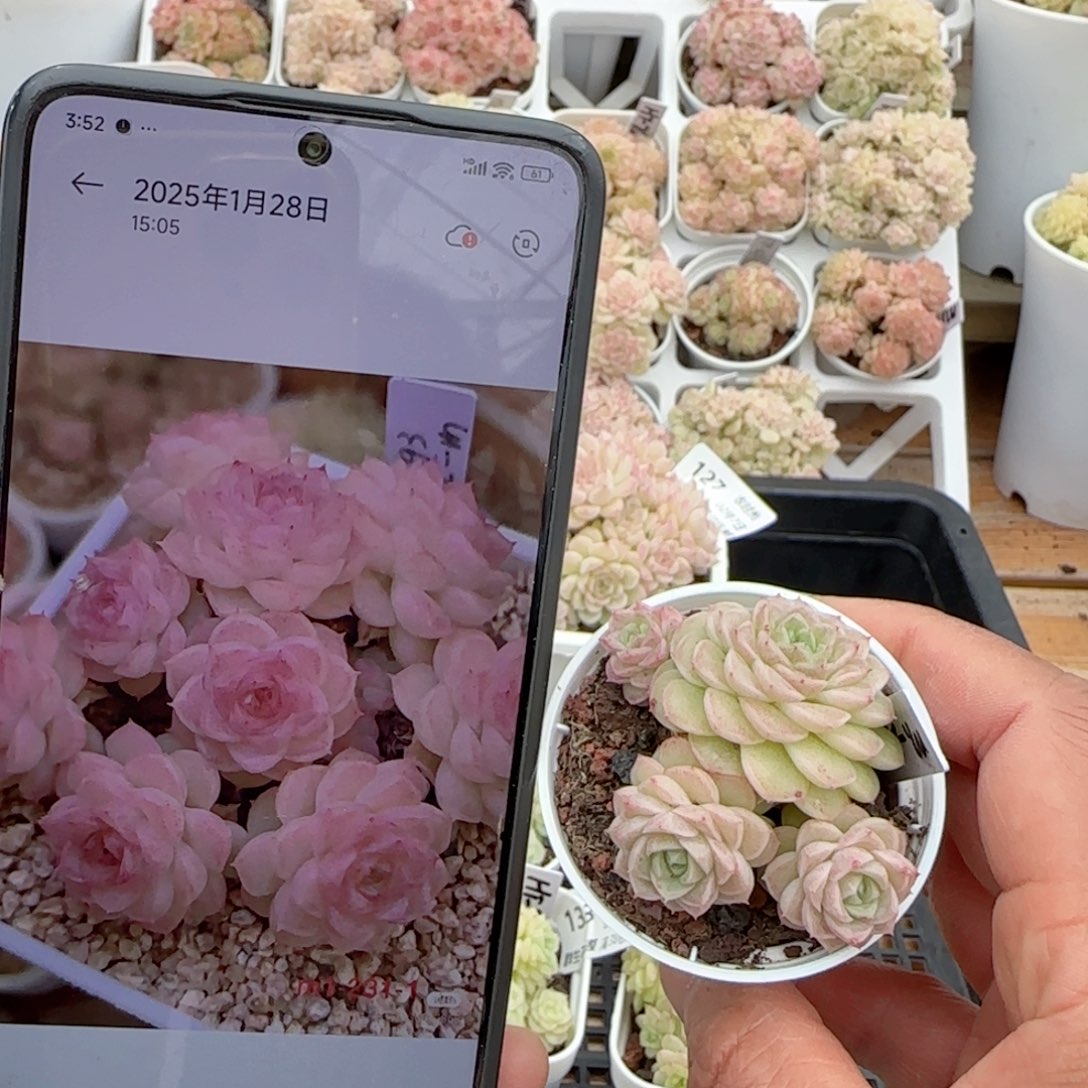 【闪购商品】0207-135（m1-231-1）