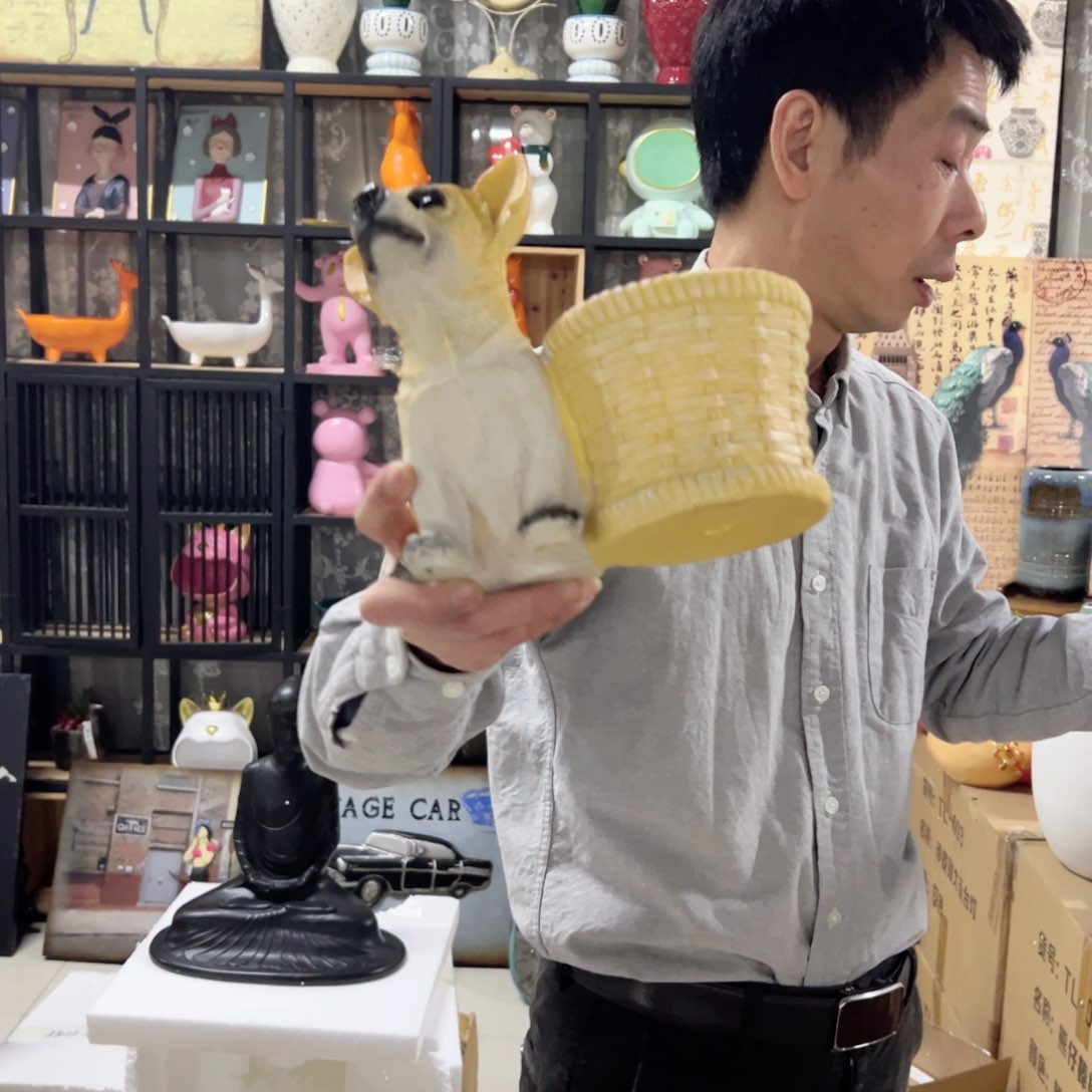 陶红陶红陶红陶红陶吉娃娃