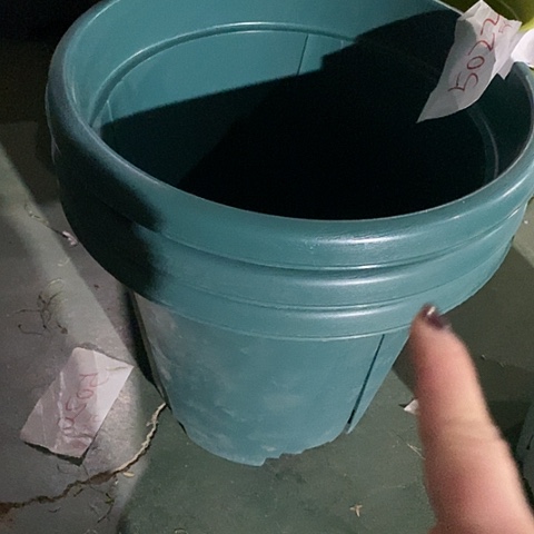 树脂老青山7号军绿无托5个