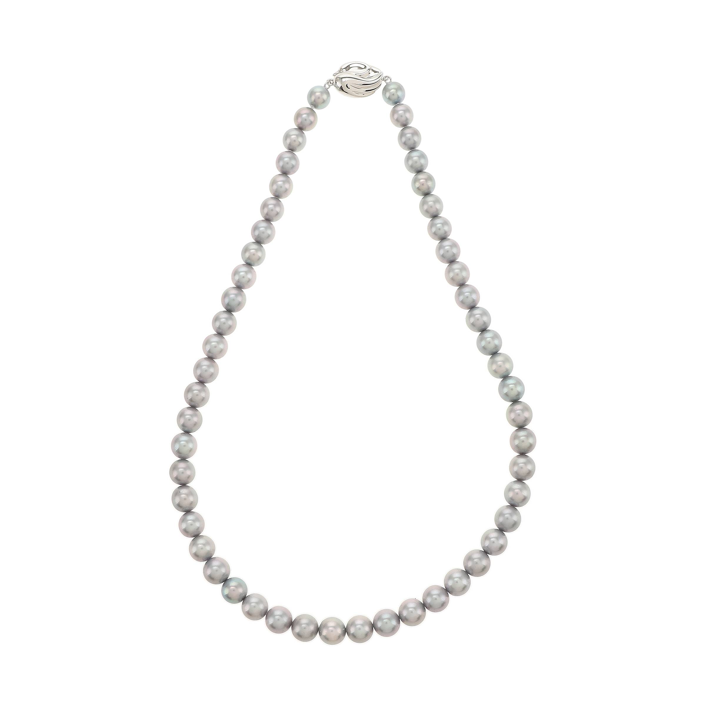 红布林/C6/塔思琦/49223055/z/121987