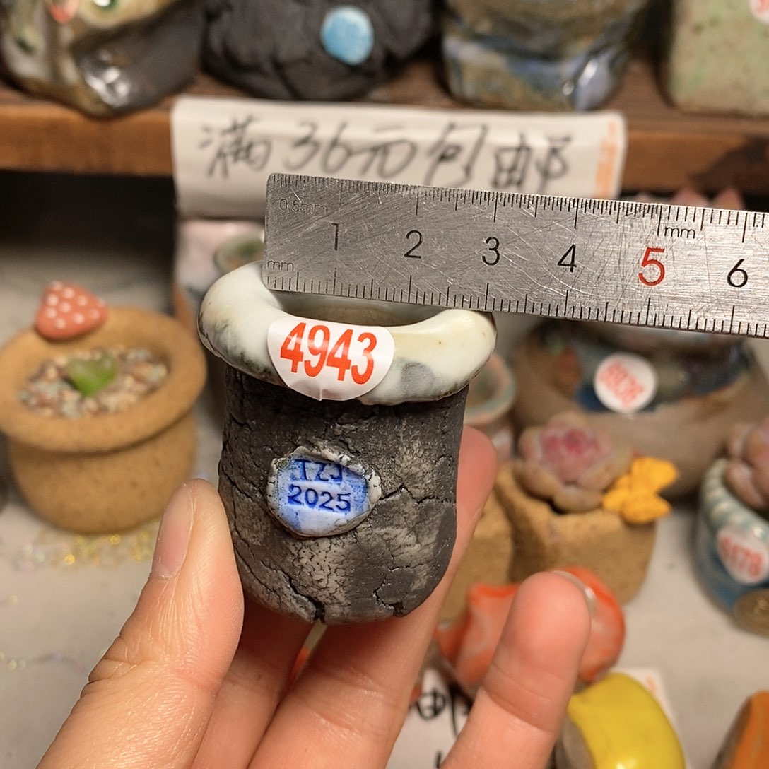 红陶拍5送一个小