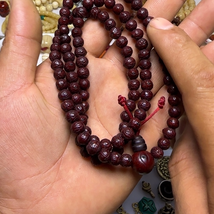 一条11112222尔甲