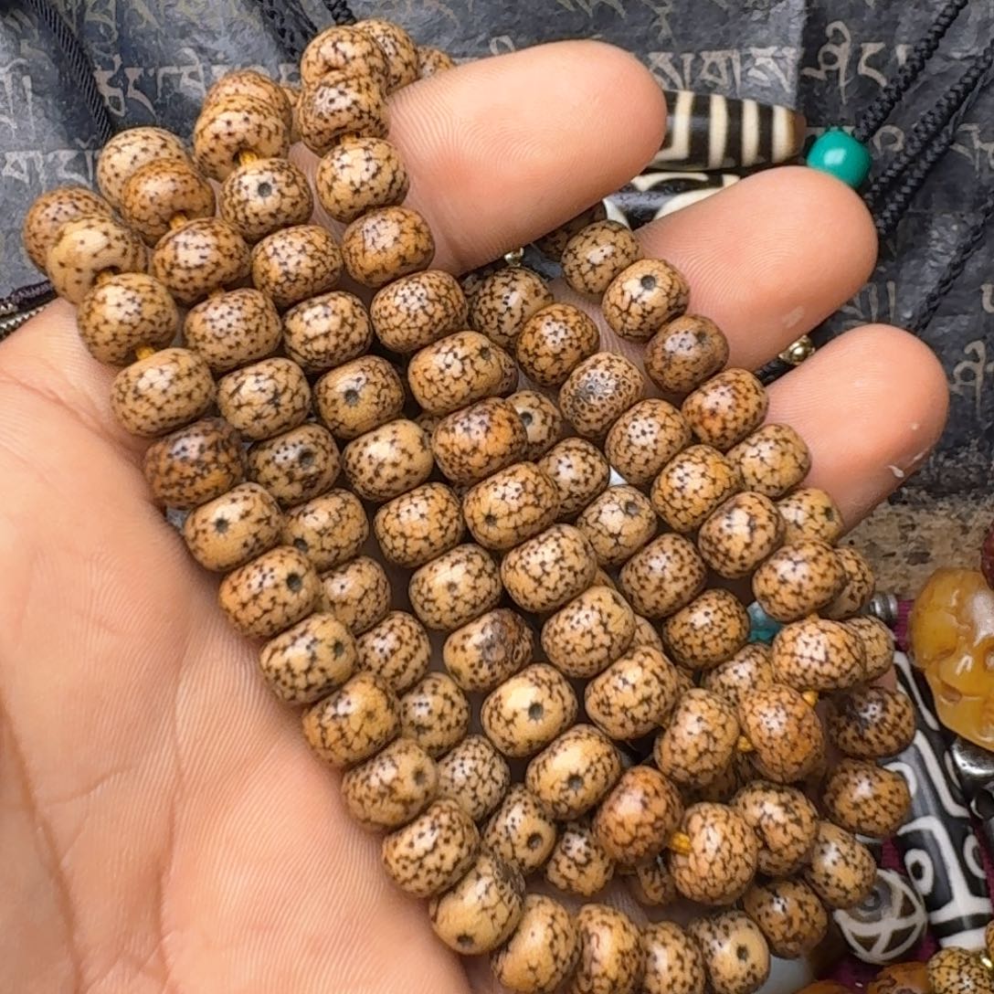 金刚菩提手串星月