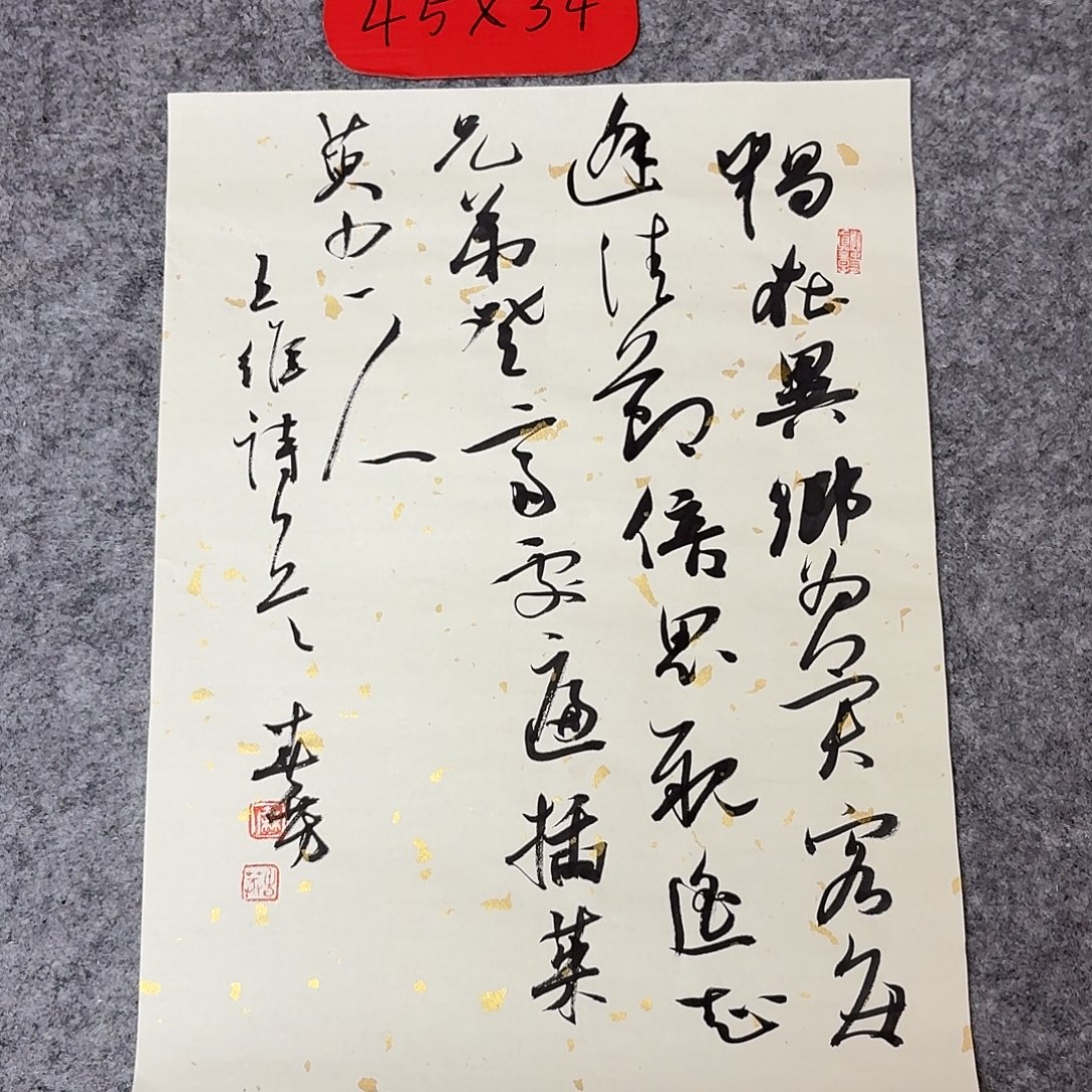 书法国展书家麻春芳45×34
