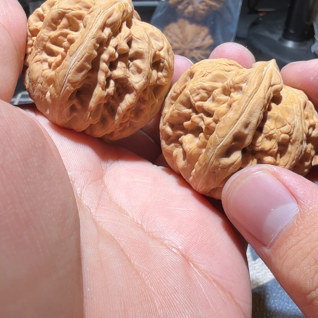 文玩核桃把件红锦鲤