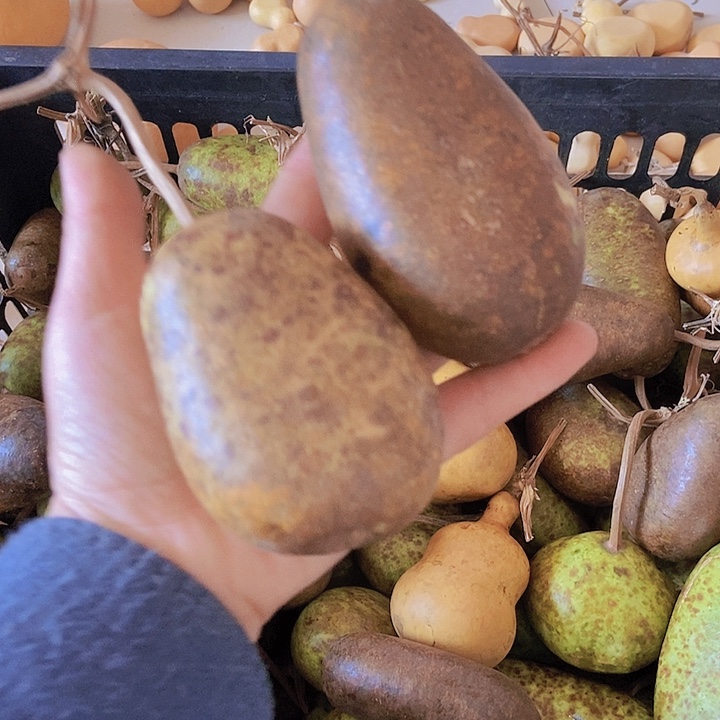 墨***儿墨儿墨儿恭喜发财