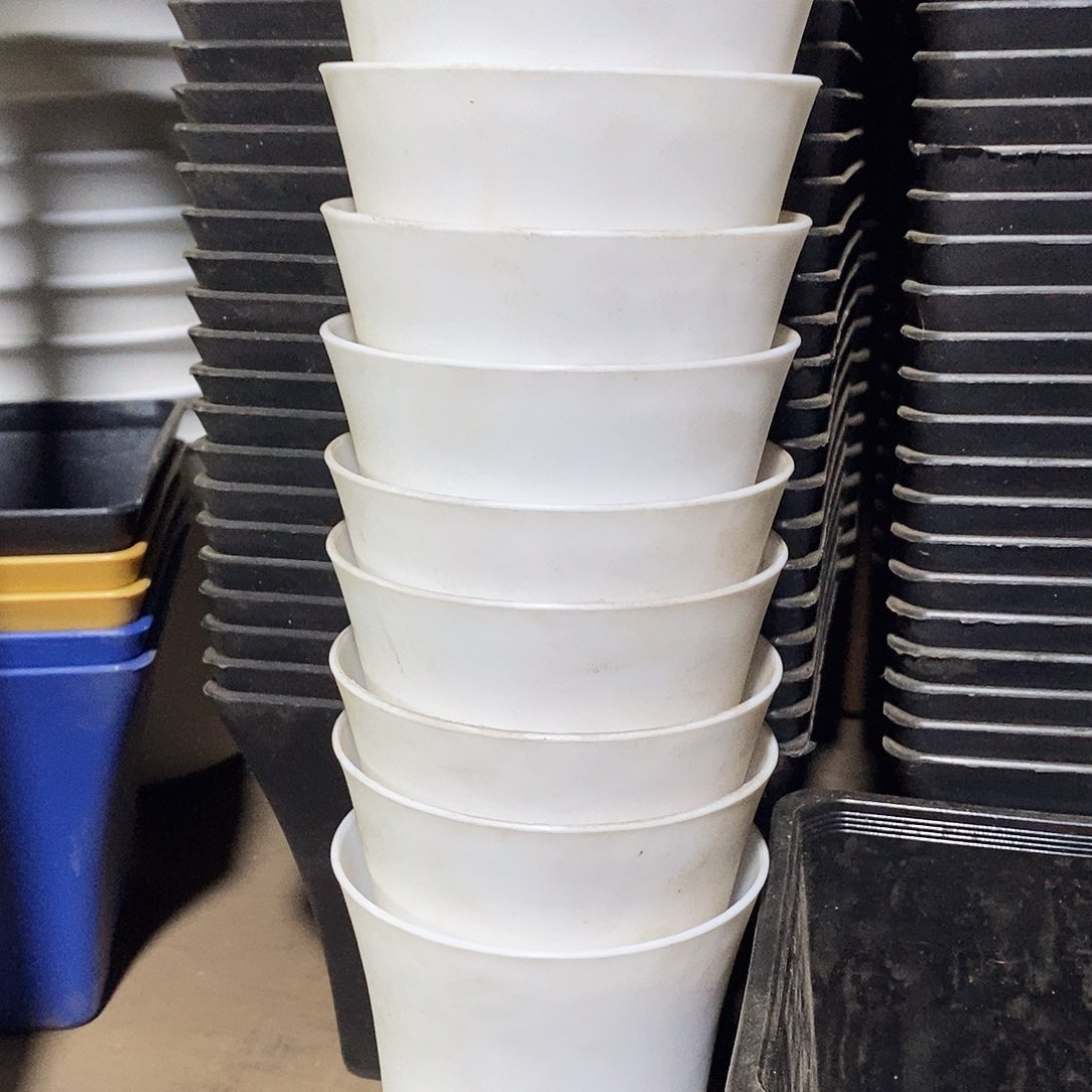 塑料新9.5 公分白万象盆10个