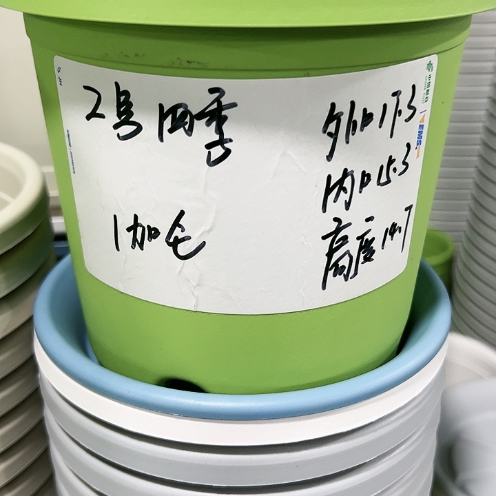 特价2号口17高14白色10只无托