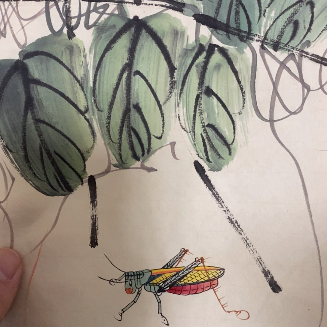 带*看闪购商品闪购商品