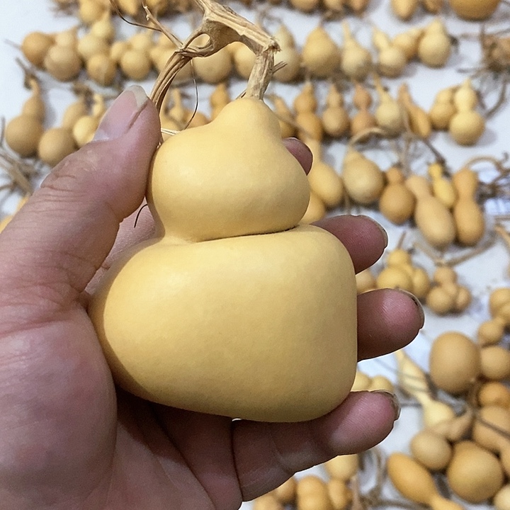 葫芦方度钱袋子葫芦