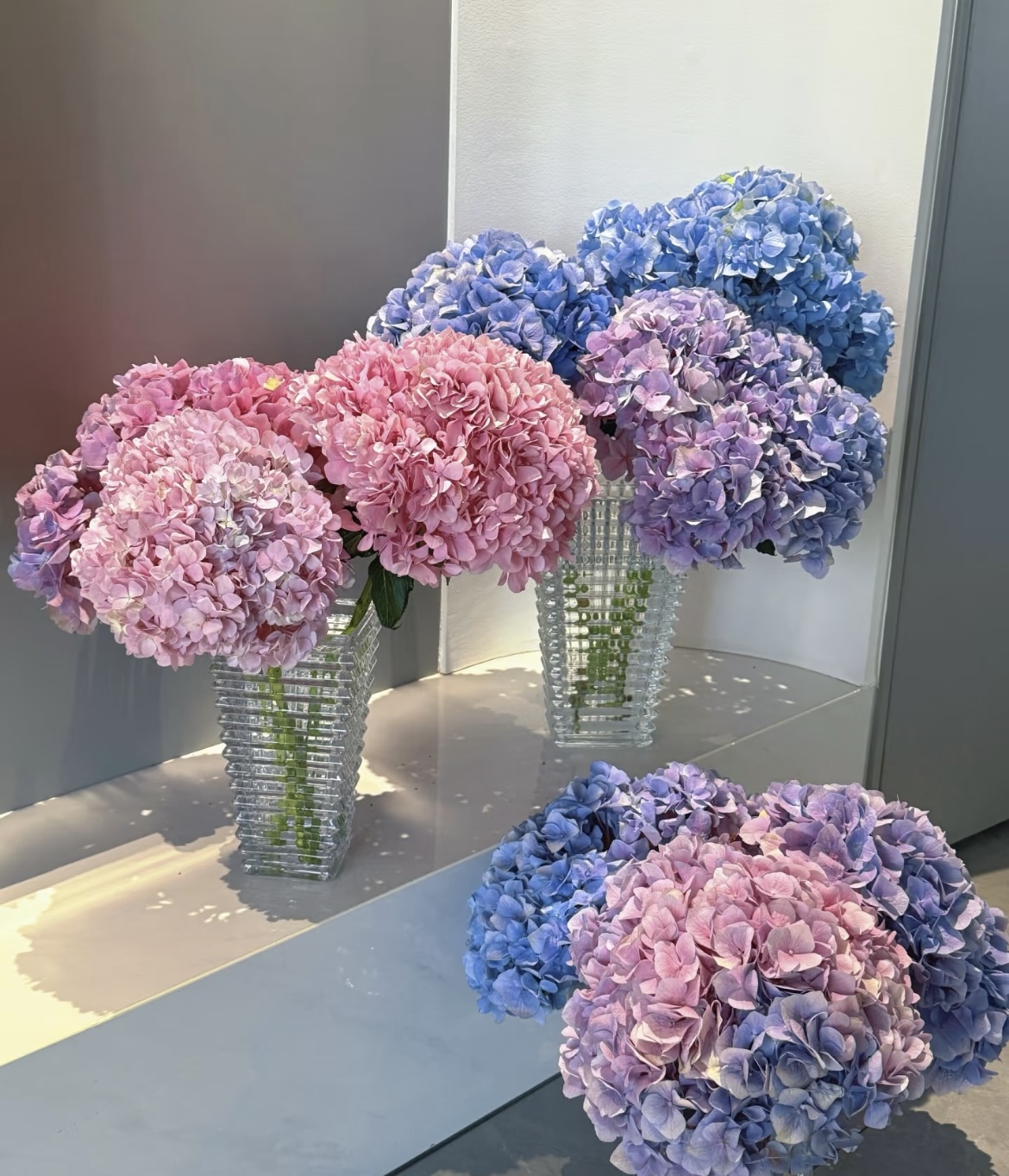 绣球 云南鲜花  家庭插花  花店必备【全场任意四单顺丰包邮】