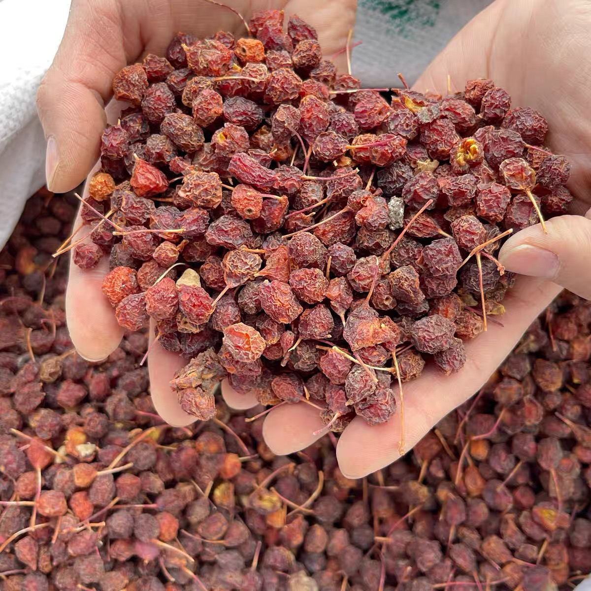 【西藏山货】西藏波密野生山楂 参