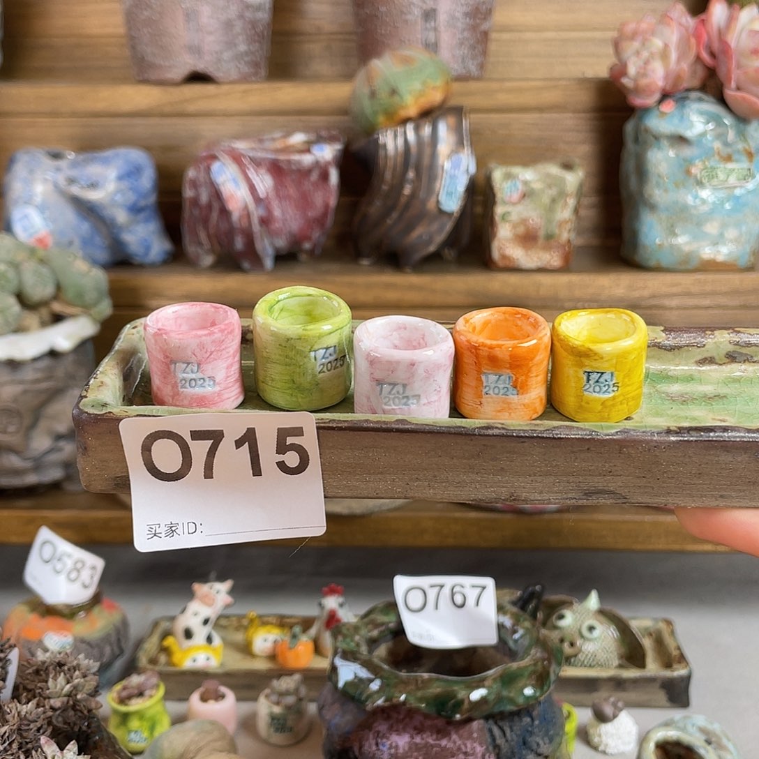 指尖1.5左右 一组5个 百搭 很小 好玩