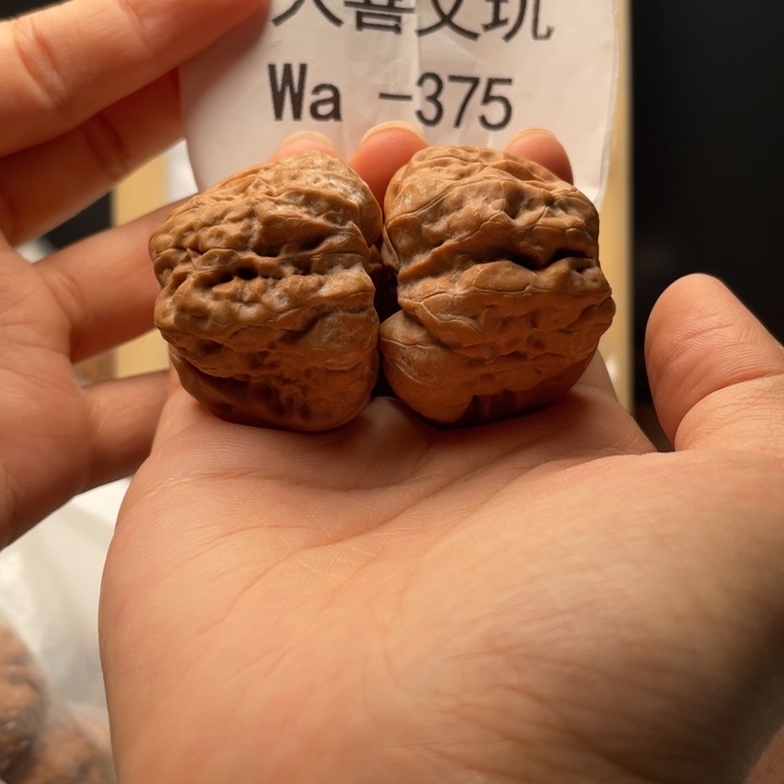 41边肚同尺微修蛙蛙