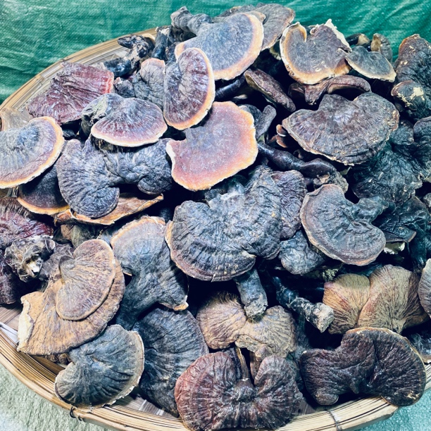 【现收山货】野生 白~心~灵~枝土特产食用农产品 可搭配枸杞