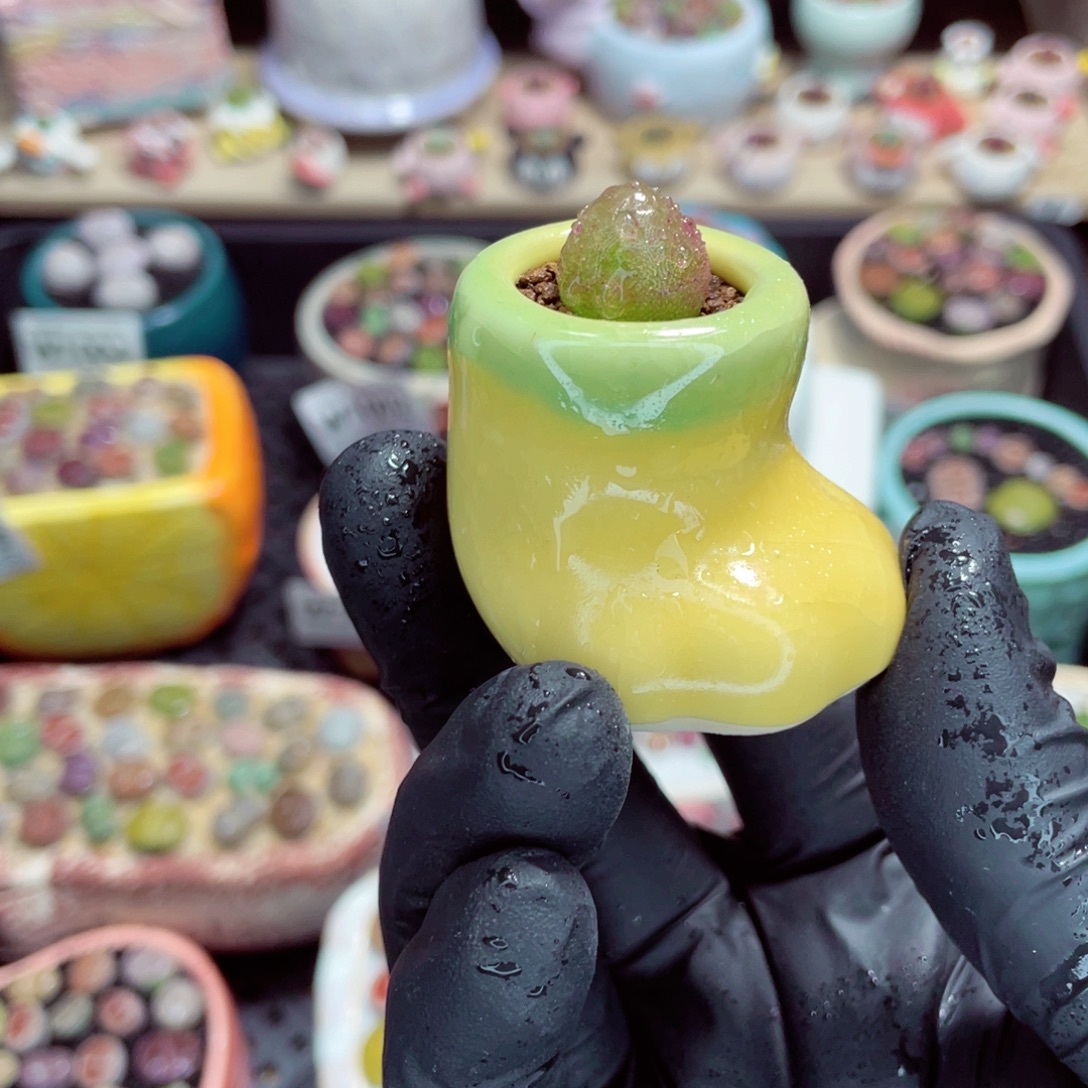 夜间零下地区拍保温箱w1022