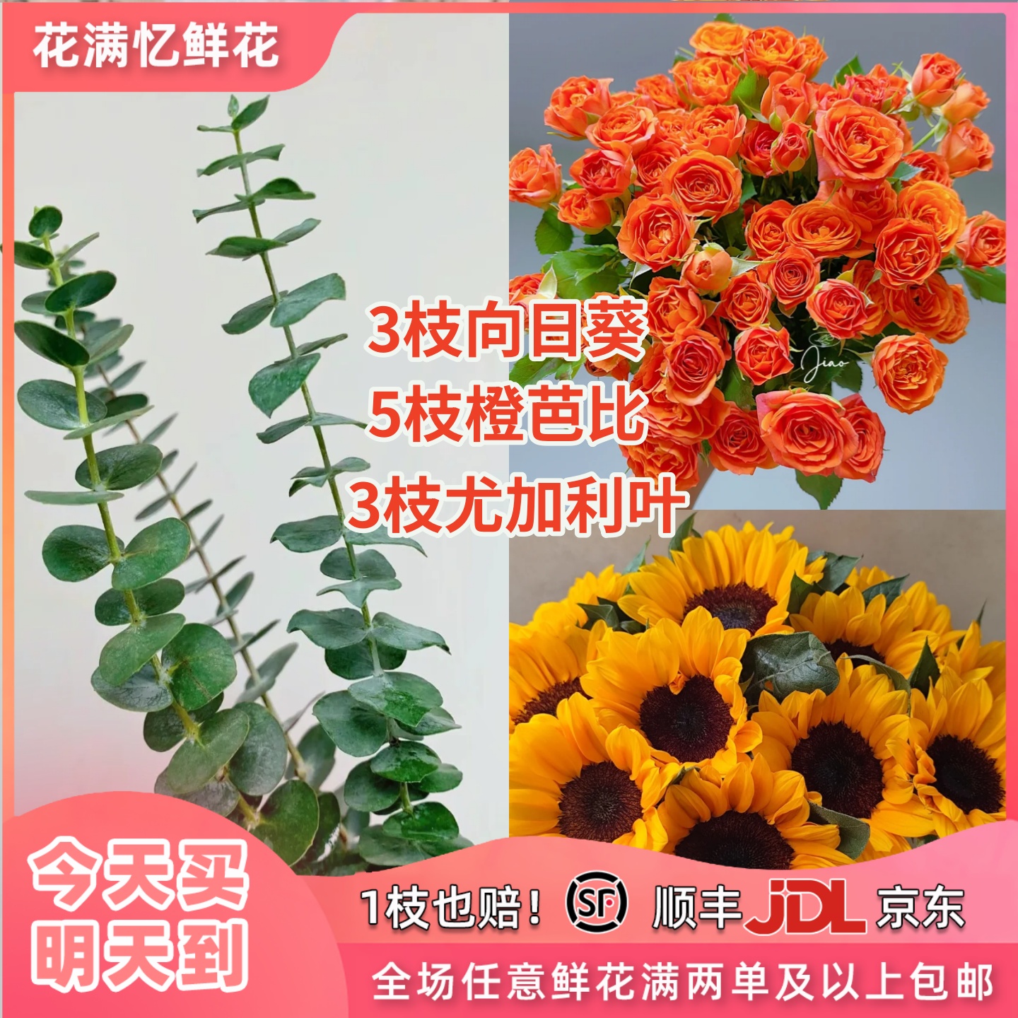 次日达-【橙心如意】一举夺葵3支尤加利叶5支芭比3支向日葵鲜花任两单发顺丰三单送花瓶今天拍明天到