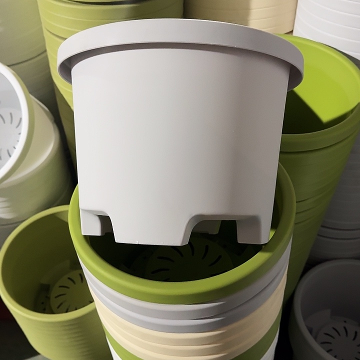 球根32口径5个无托灰白