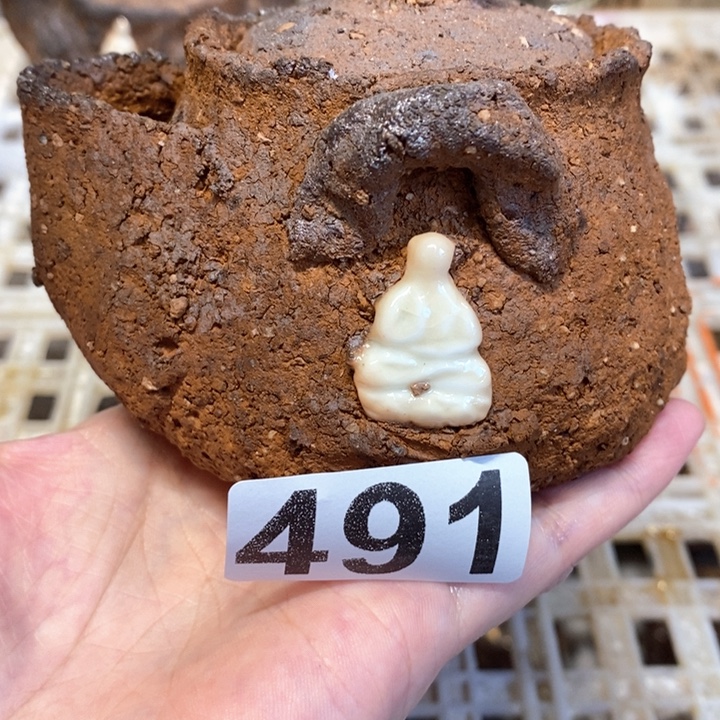 橘***扽柴烧捡漏捡漏捡漏