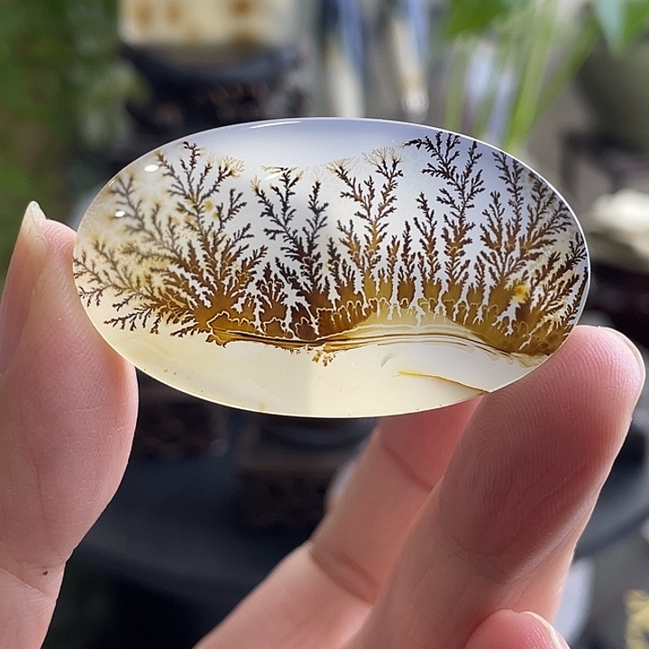 玛瑙/玉髓未镶嵌珠宝半成品