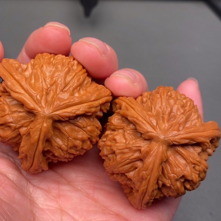 七***筋木质类核桃核桃核桃