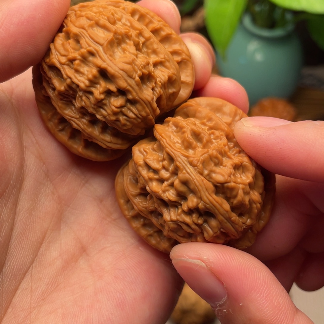 把件桃核43.3克全品红皮正三角白41