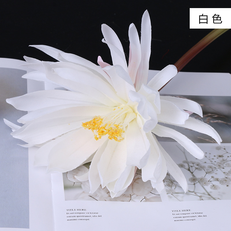 仿真昙花拍摄用花古装拍摄道具昙花假花