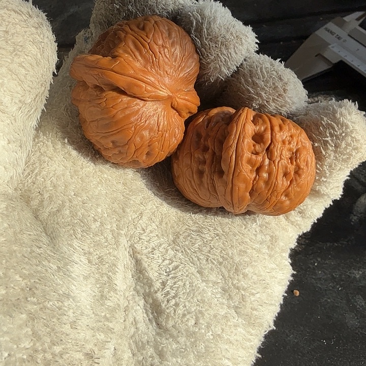 文玩核桃吊坠元宝