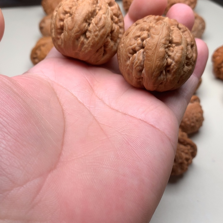 文玩核桃吊坠何***月霸王龙