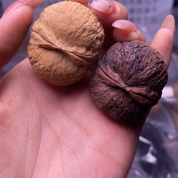 核桃云南野生铁核桃75号37mm