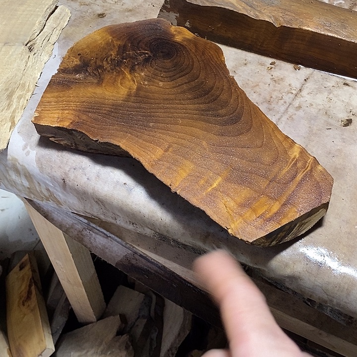 金丝楠木小叶桢楠木