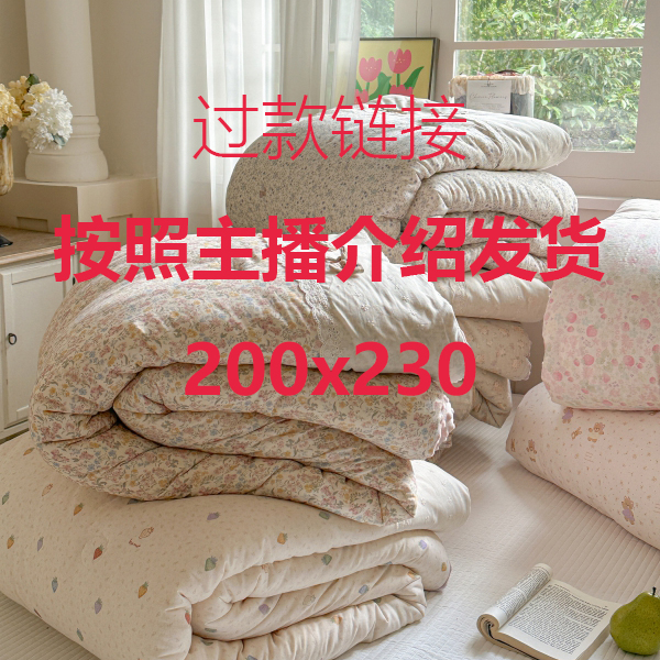 新款按介绍发货200x230被子被芯双人冬被空调8斤10斤12加厚保暖