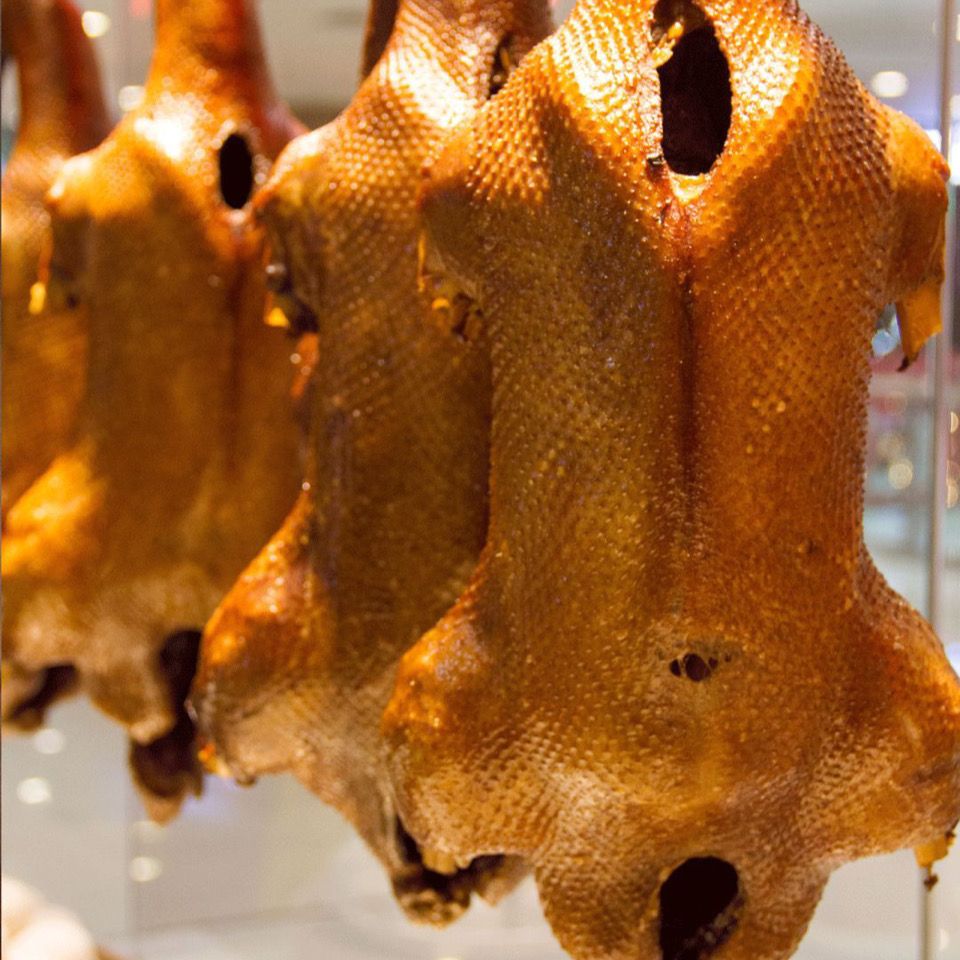 【包邮】特大种狮头鹅肉质鲜美