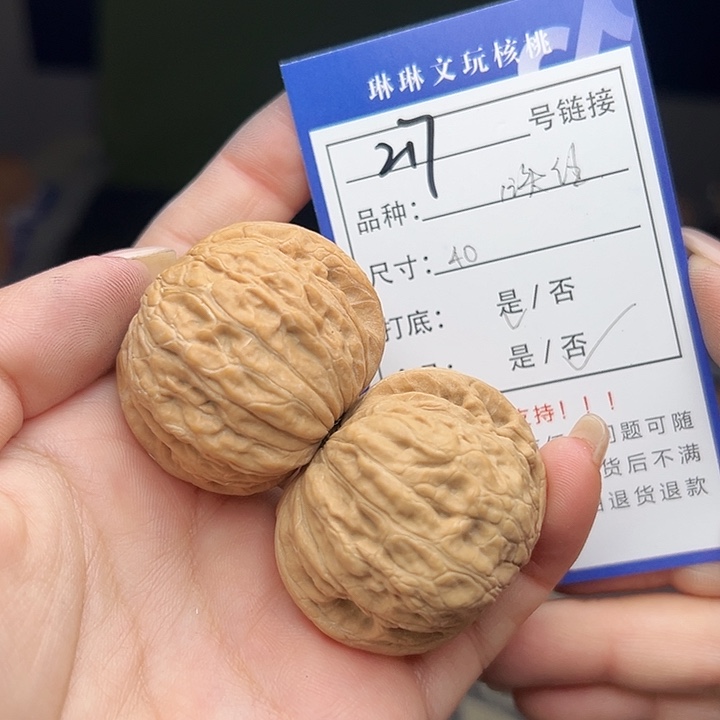 文玩核桃吊坠核桃树217