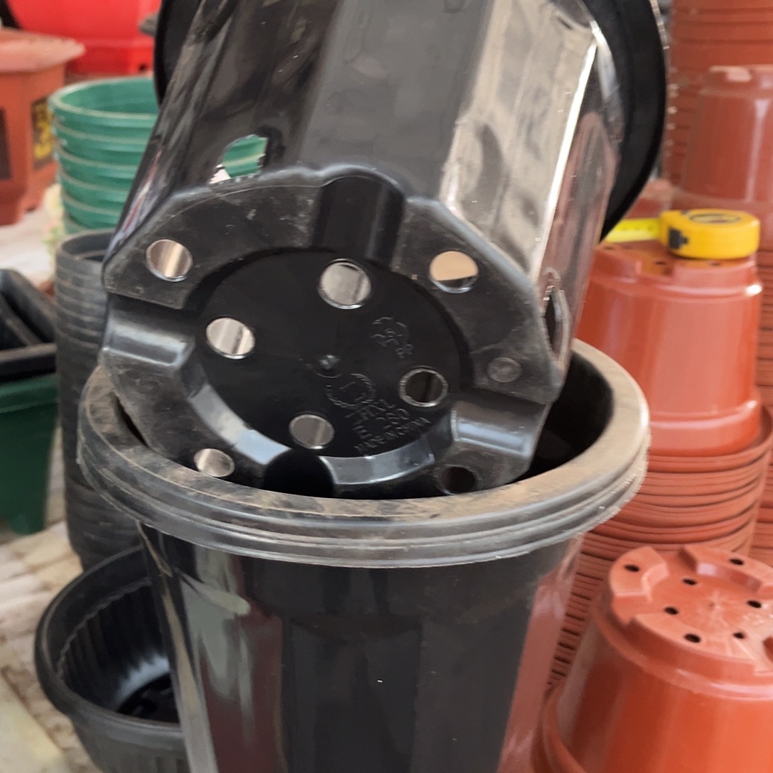 口径23高20黑砖盆20个