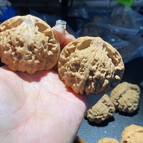 文玩核桃吊坠老*官帽54