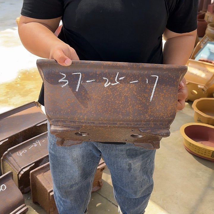 紫砂花盆这是我的