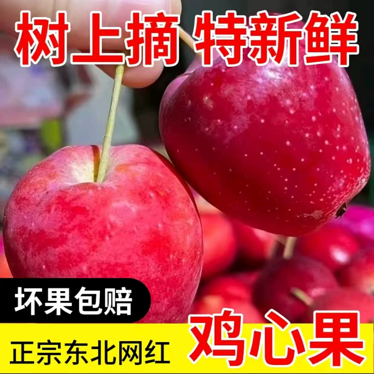 正宗东北鸡心果网红果现摘现发