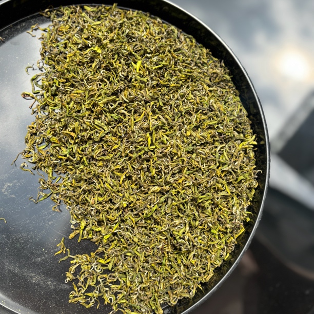 【老俞】绿茶半手工2025新茶50g