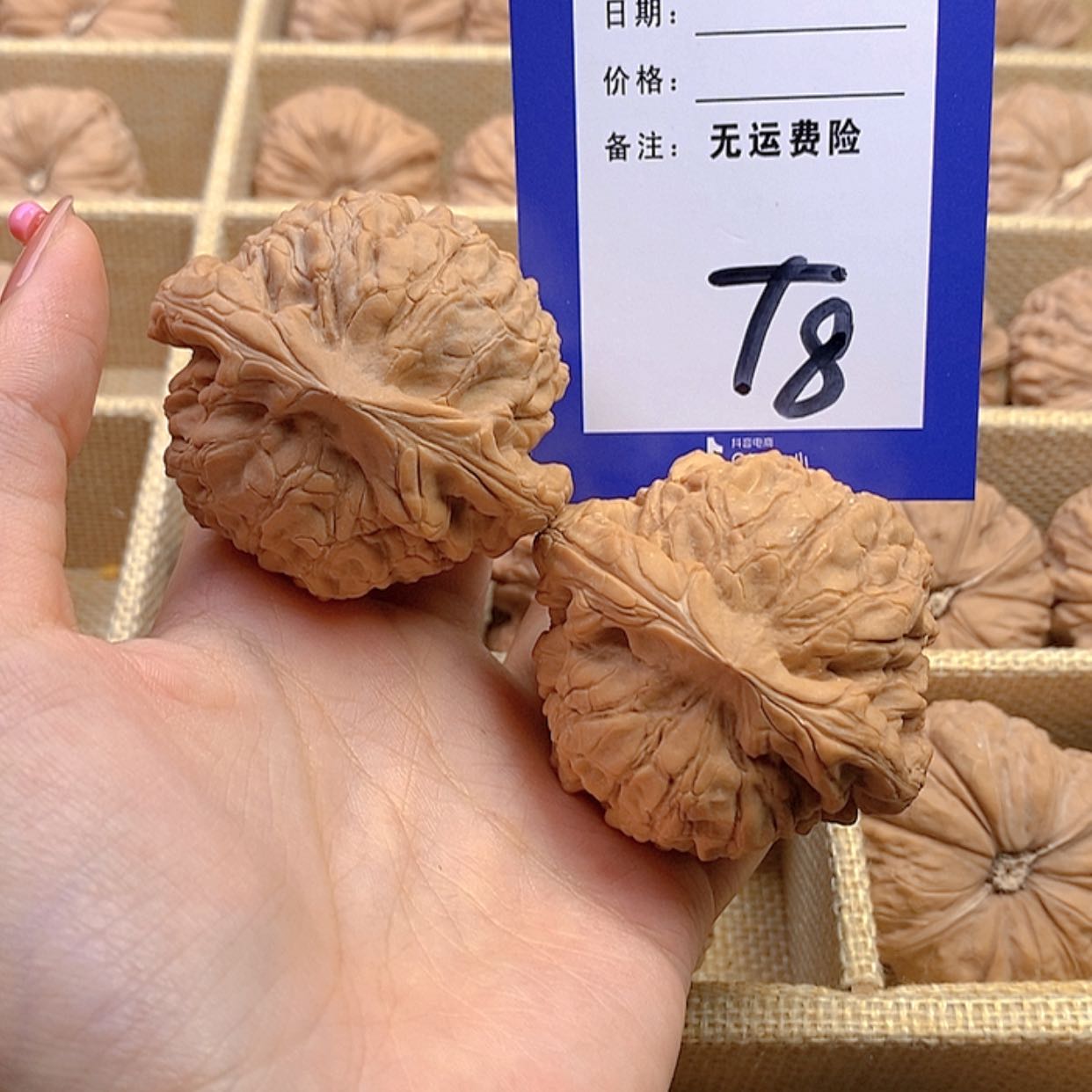 【闪购商品】把件文玩核桃⑩**爱文玩核桃龙鼎8