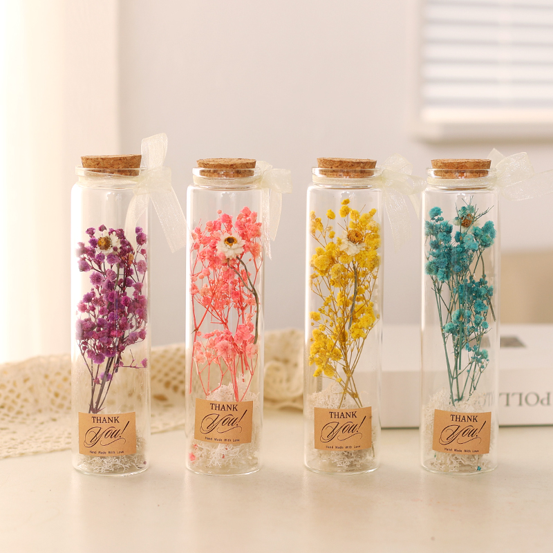 满天星干花植物标本试管干花真花花束摆件送老师朋友结婚伴手礼