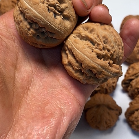 吊坠文玩核桃苦**