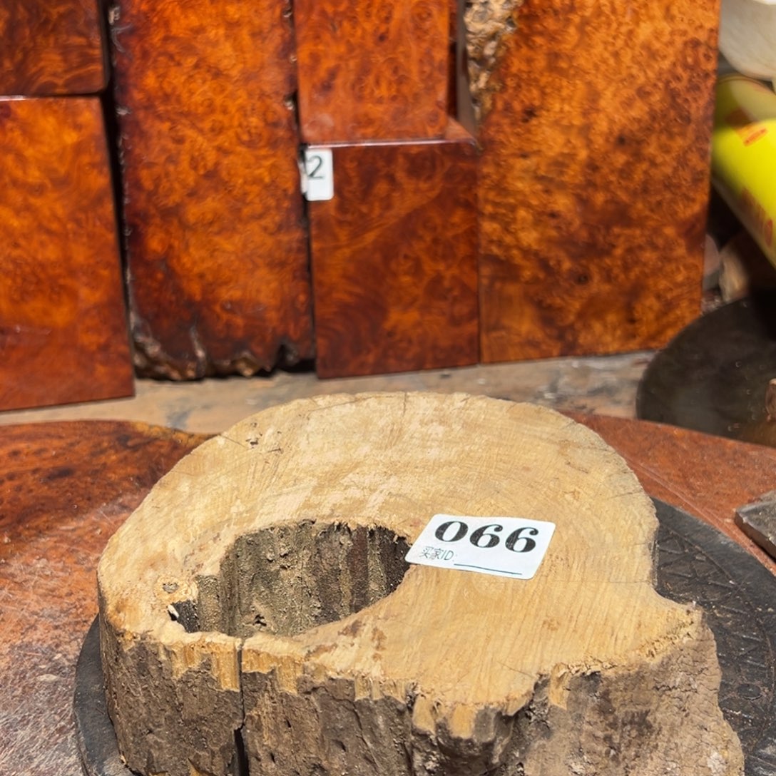 肇***术大果紫檀（缅甸花梨）