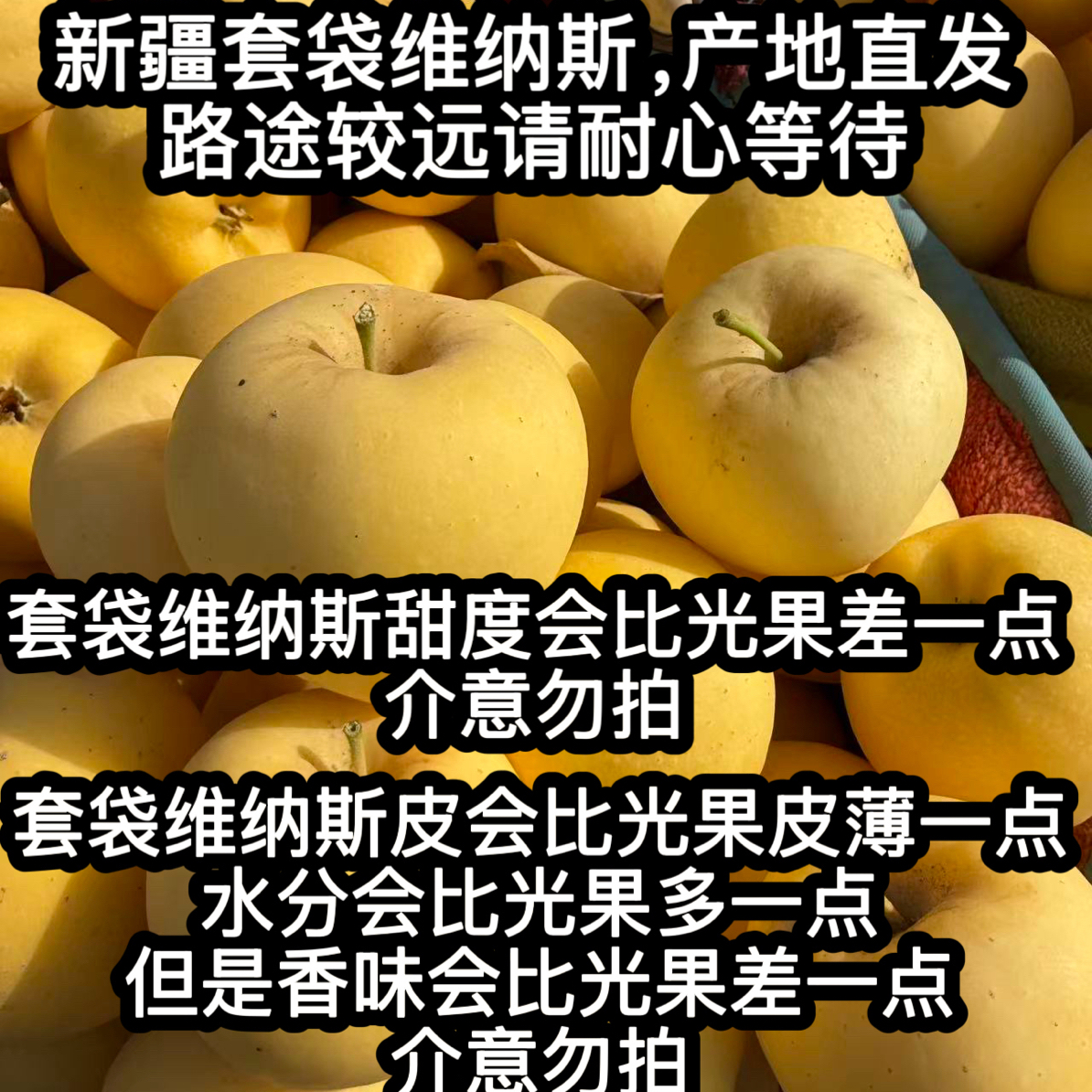 【京东】新疆 套袋维纳斯苹果净重4.5斤产地直发路途较远请耐心等待