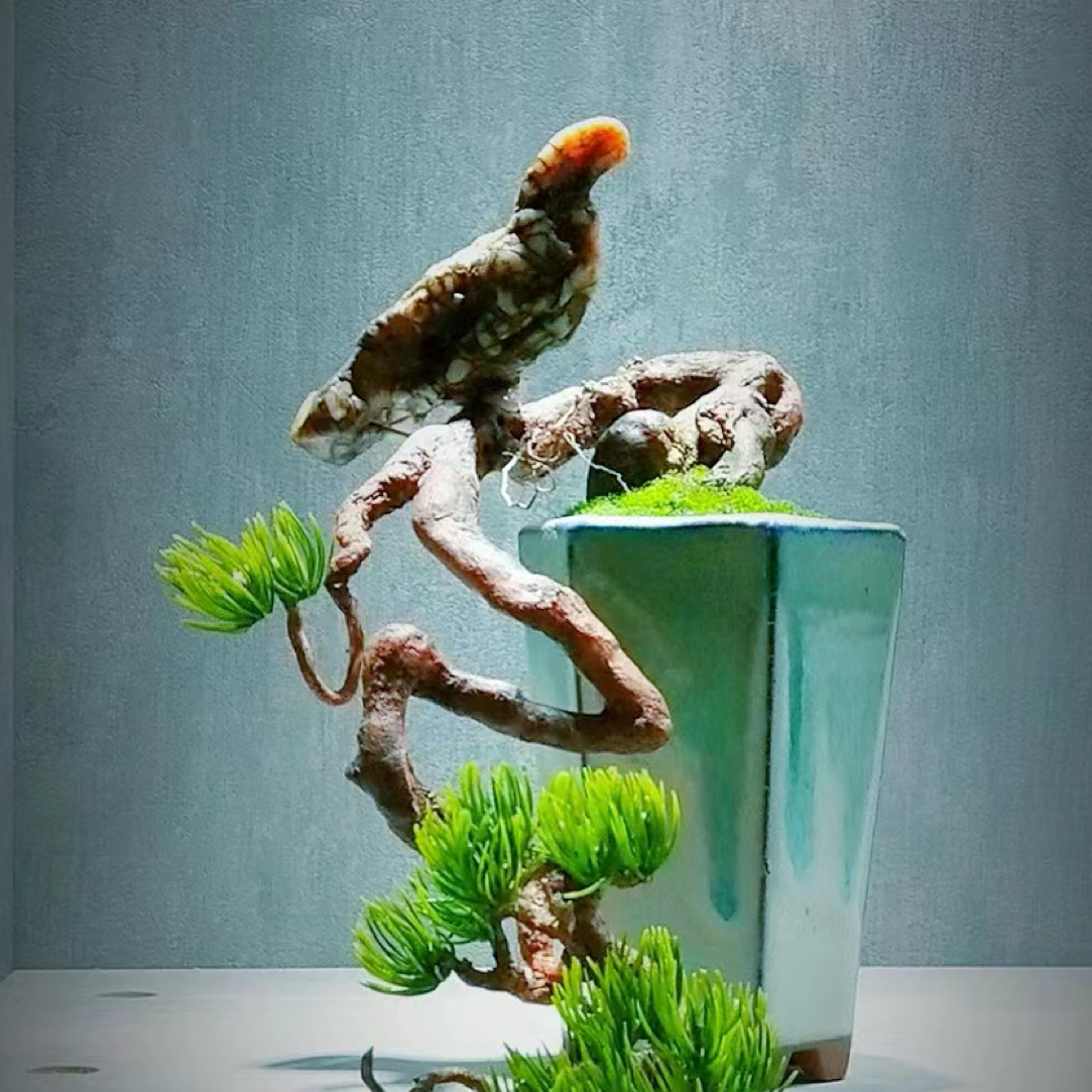 戈壁石头摆件直播链接