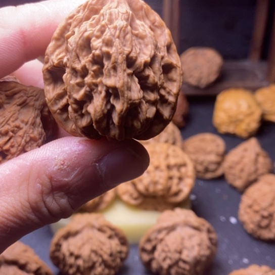 奋**L文玩核桃老树全品麦虎41