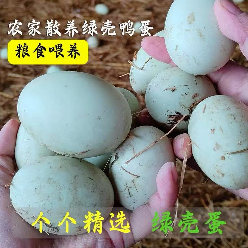 正宗散养土鸭蛋现捡现发