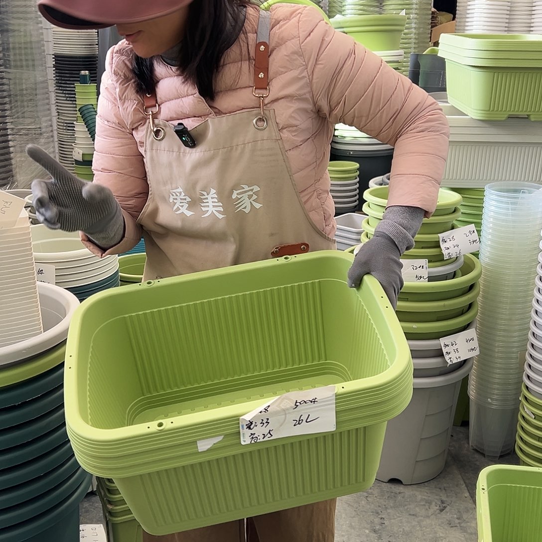 菜盆500#果绿色3（含托盘）